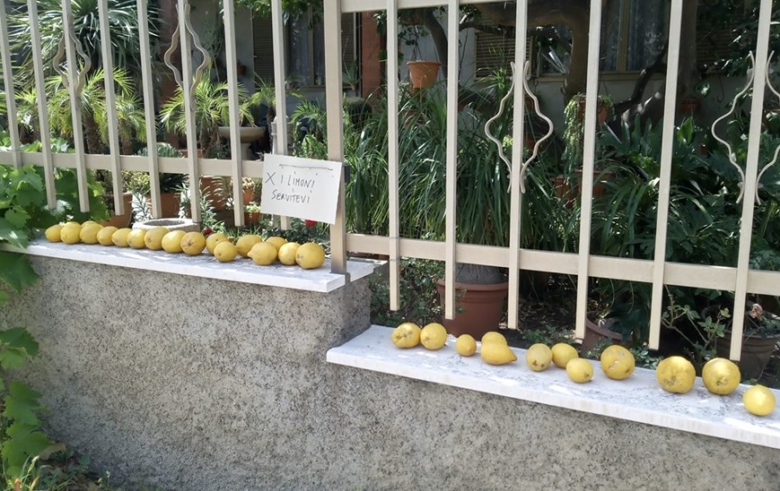 villacidrolimoni "X i limoni servitevi" il nobile gesto di una famiglia che regala i limoni a chi ne ha bisogno