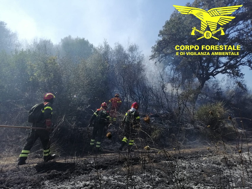 incendioforestalenero Incendio tra Sinnai e Soleminis: 8.00 ettari distrutti dalle fiamme