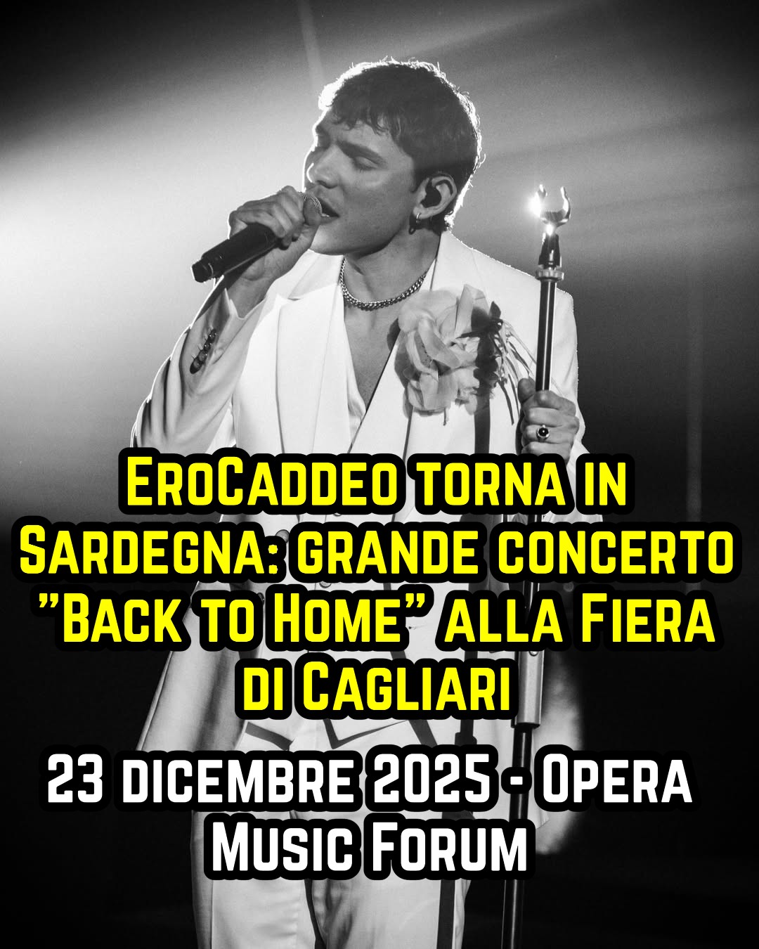 erocaddeofiera image EroCaddeo