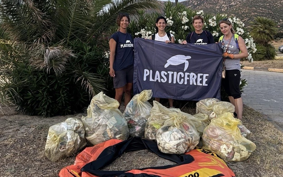 plastifreeSOLANAS
