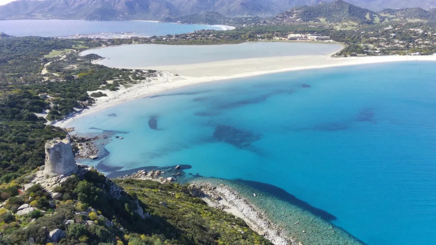 portogiunco